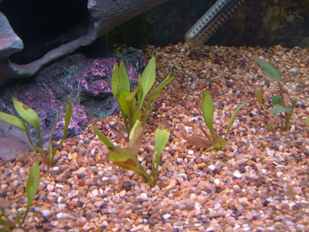 DSCF3826.jpg