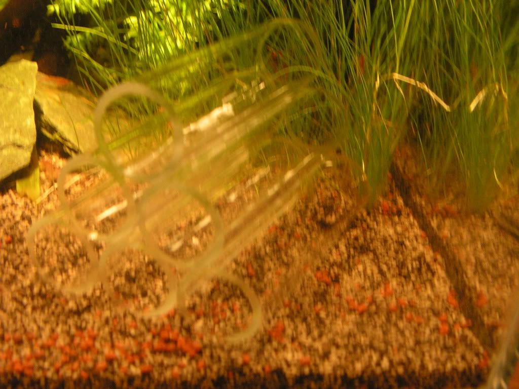 PICT0927.jpg