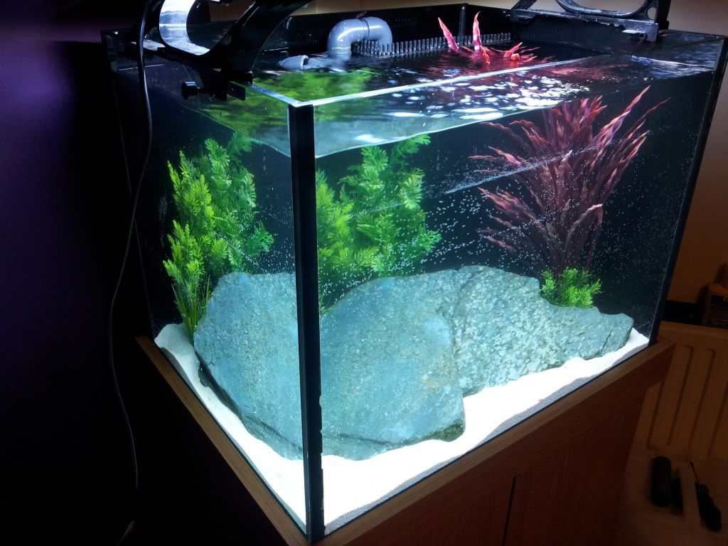 2012-09-01201721.jpg