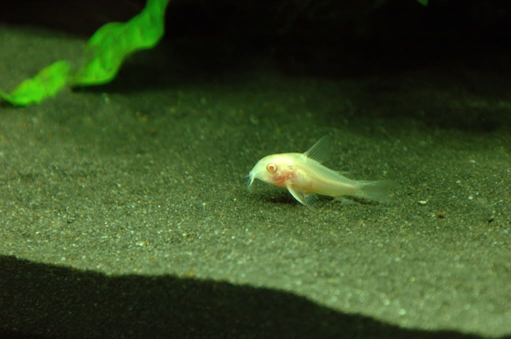 DSC_0155.jpg