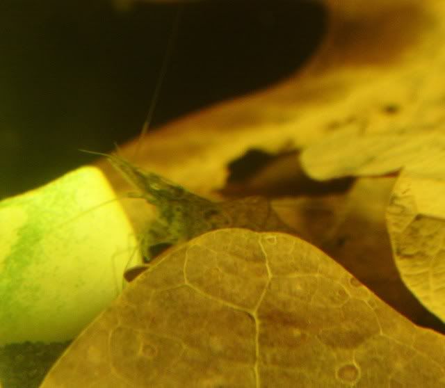 S7003137.jpg