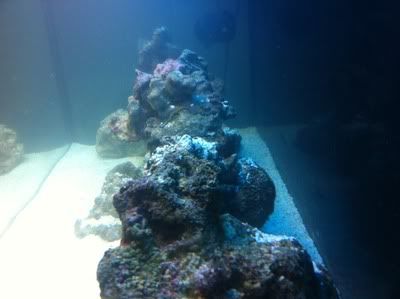 IMG_0978.jpg