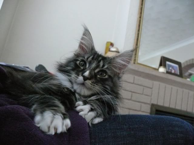 P1080037.jpg