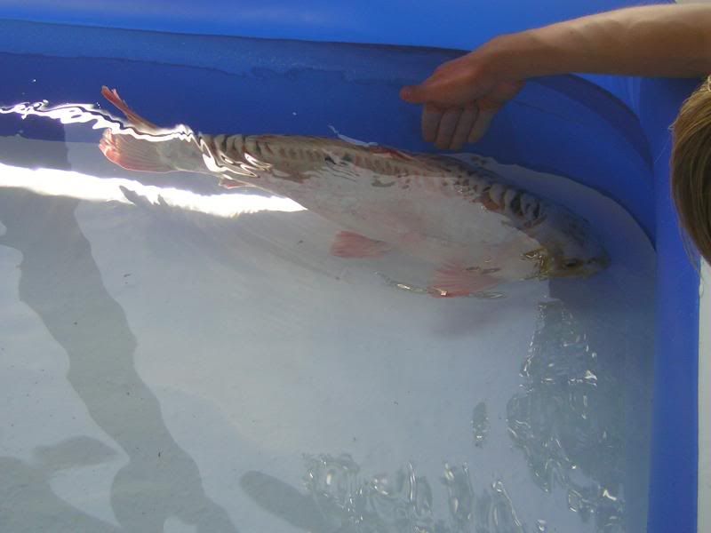 DSCN4680.jpg
