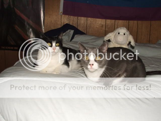 f0d7425c.jpg