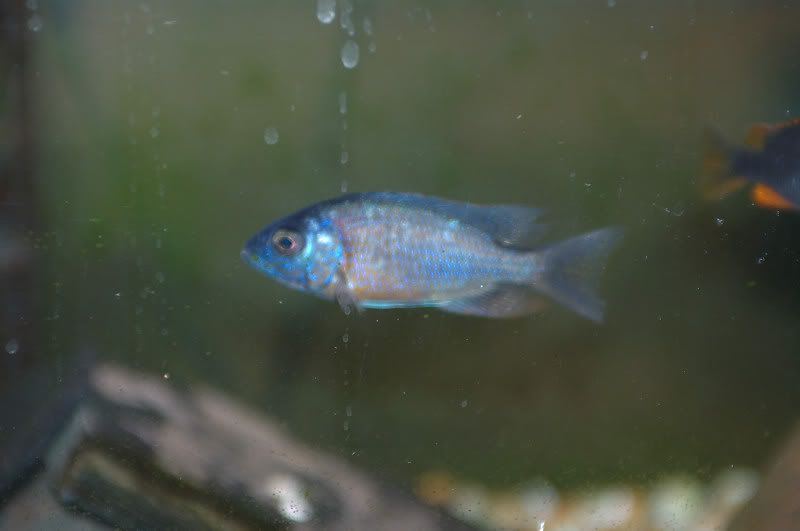 DSC_0241.jpg