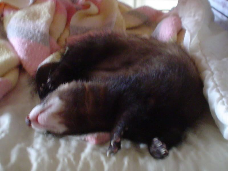 DSC00538.jpg
