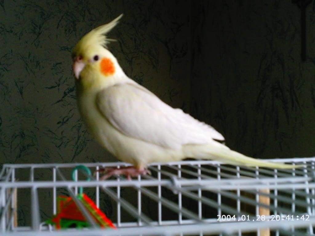 PHOT0009.jpg