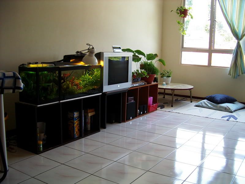 IMGP1287.jpg