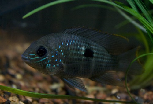 2653586962_40cfcea05d.jpg