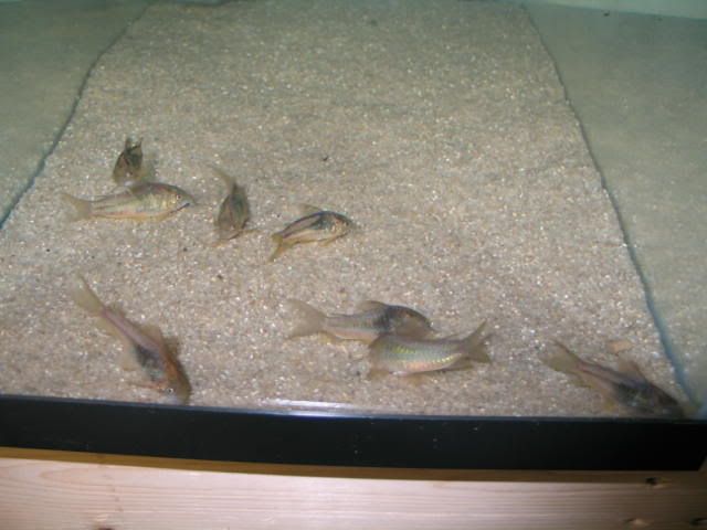 c089-group-1.jpg