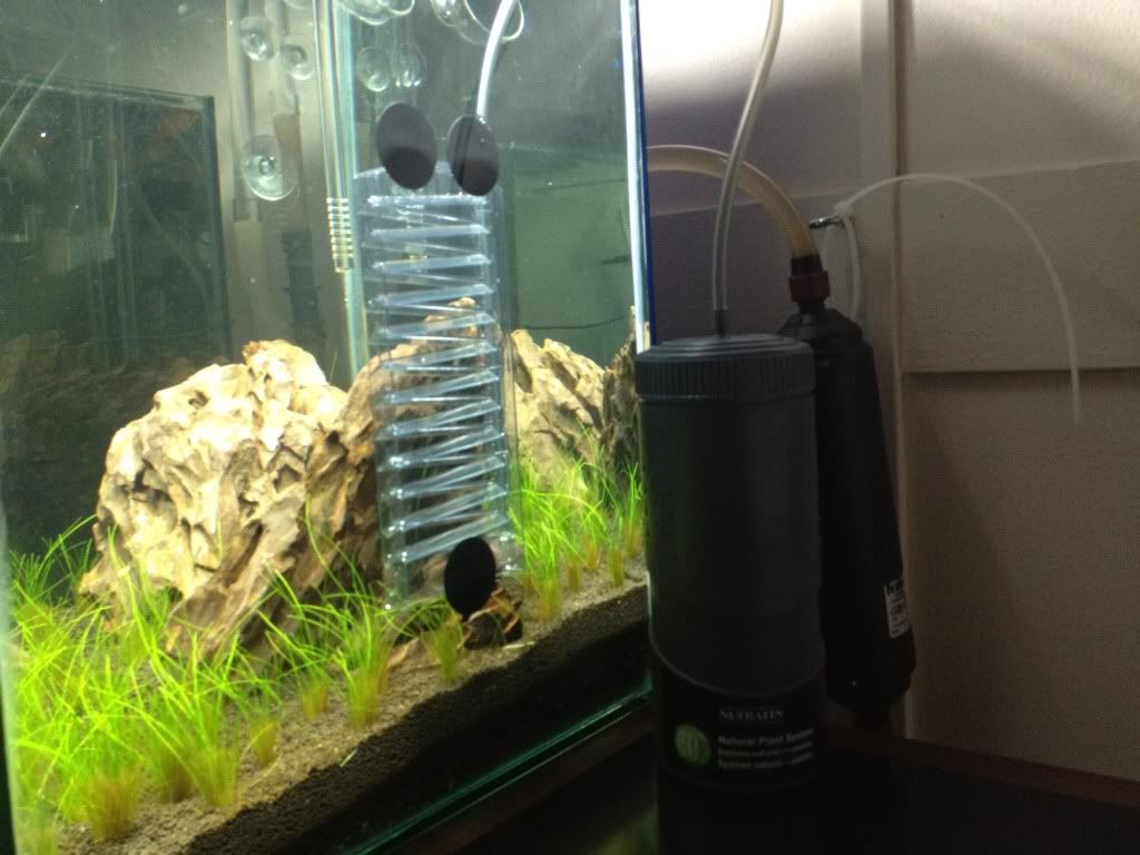 TempCO2Setup.jpg