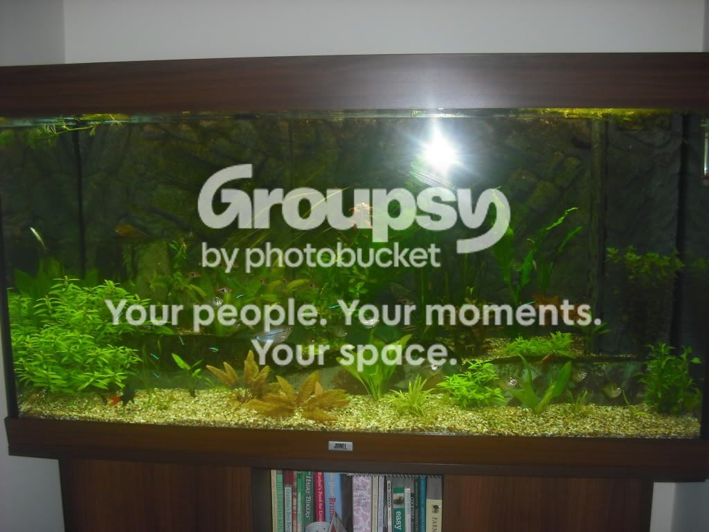 DSCF2115.jpg