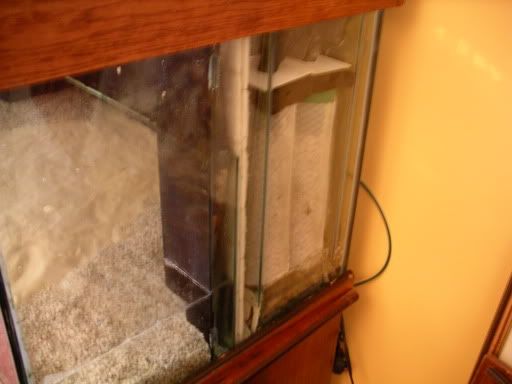 FishPics033.jpg