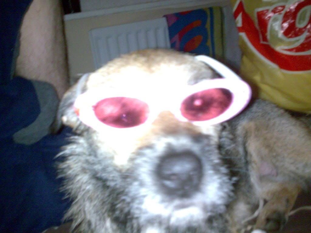 003.jpg
