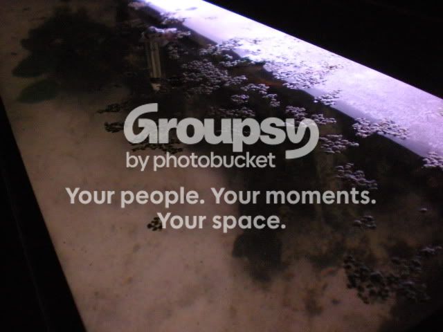 DSCN1904.jpg