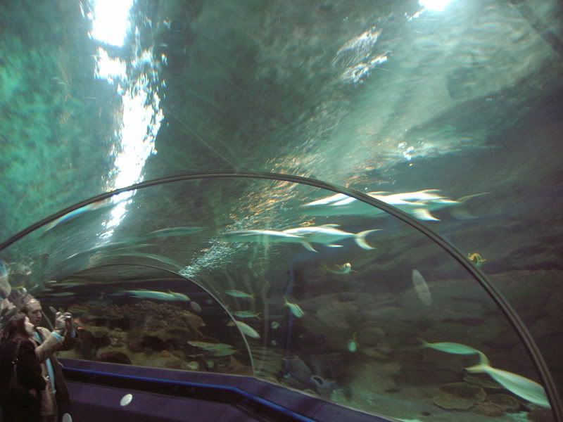 blueplanet006.jpg