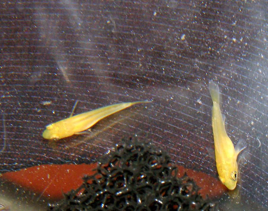 P1310004_edited.jpg