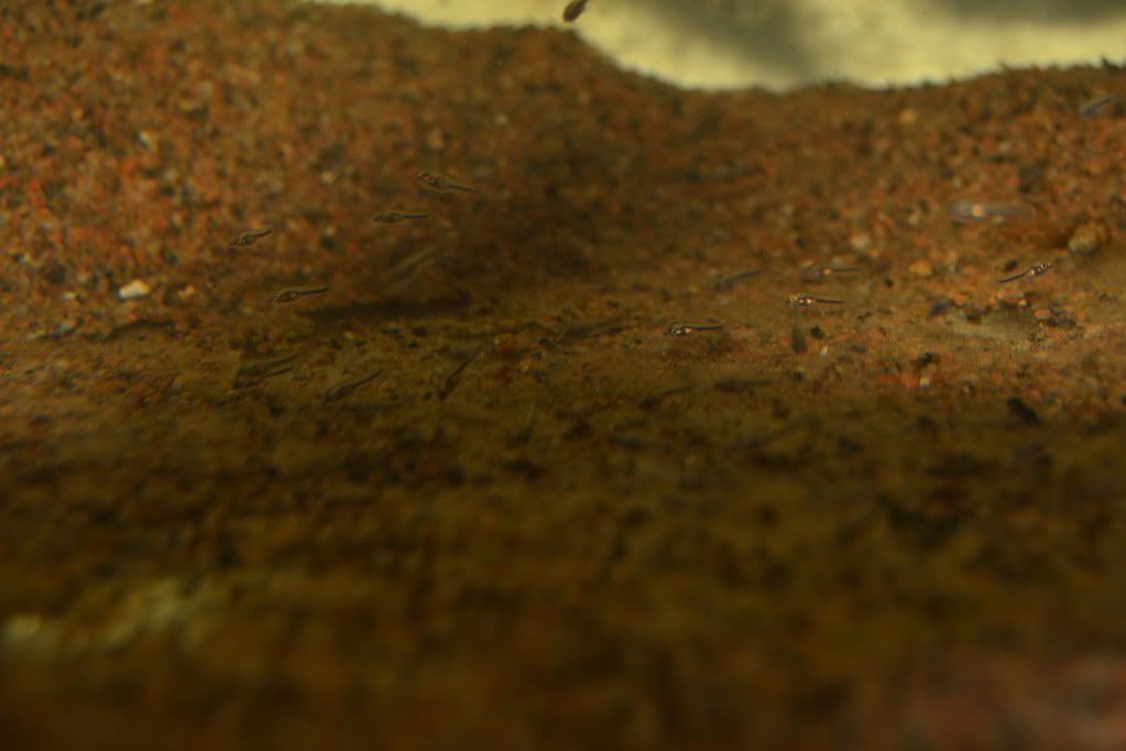 DSC_0773.jpg