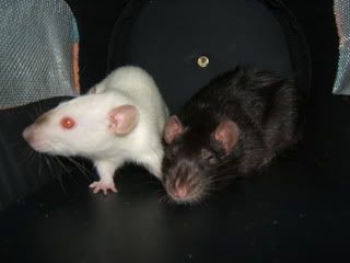 DSCF2886.jpg