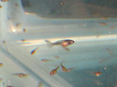 DSCN8891.jpg
