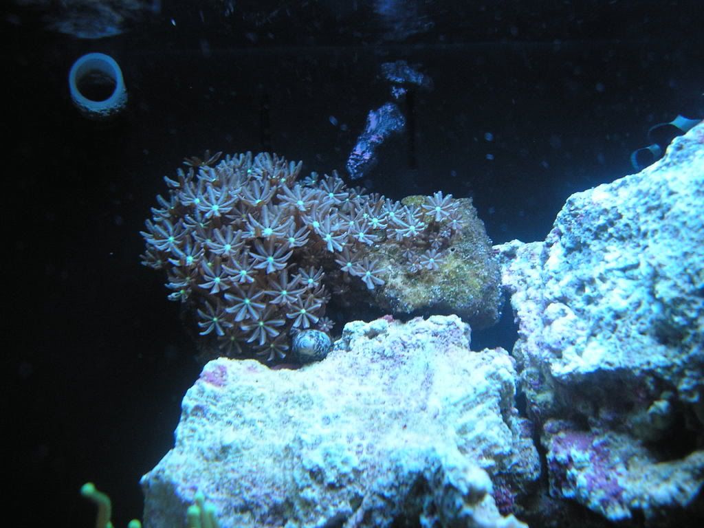 P1010037.jpg