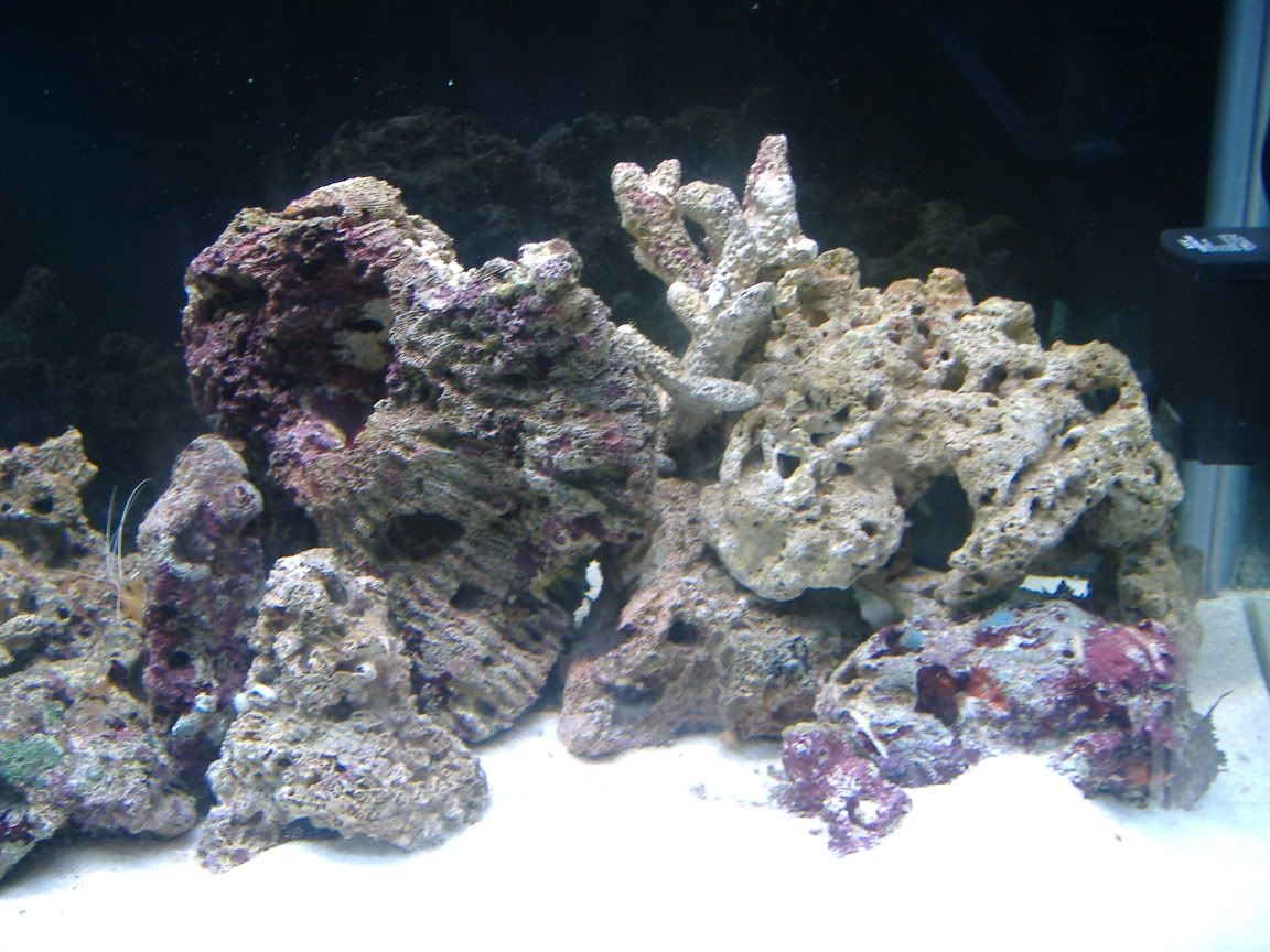 DSCF0405.jpg