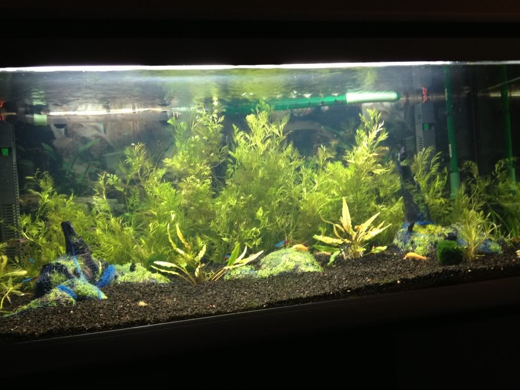 photo4-2.jpg