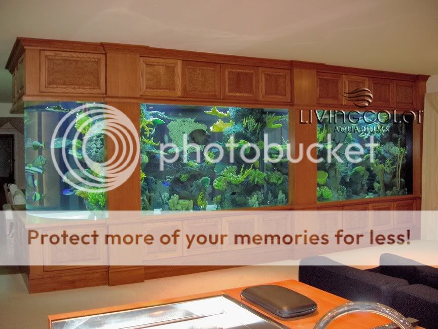 Large_Custom_Saltwater_Aquarium.jpg