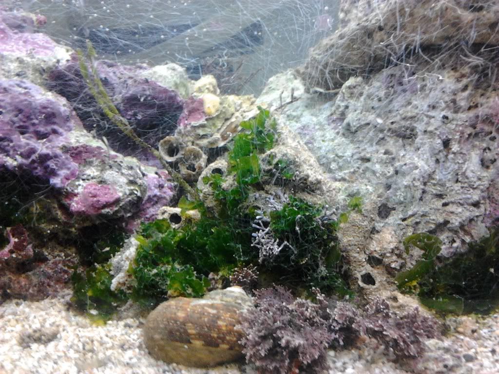 2012-03-29202447.jpg