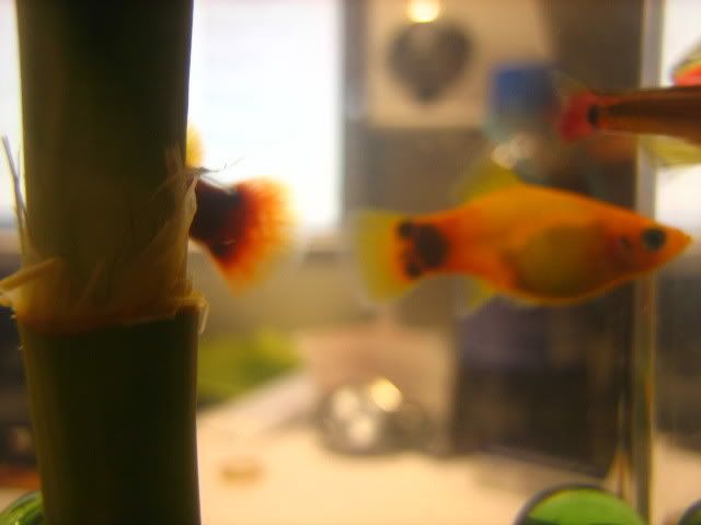 Picture002.jpg