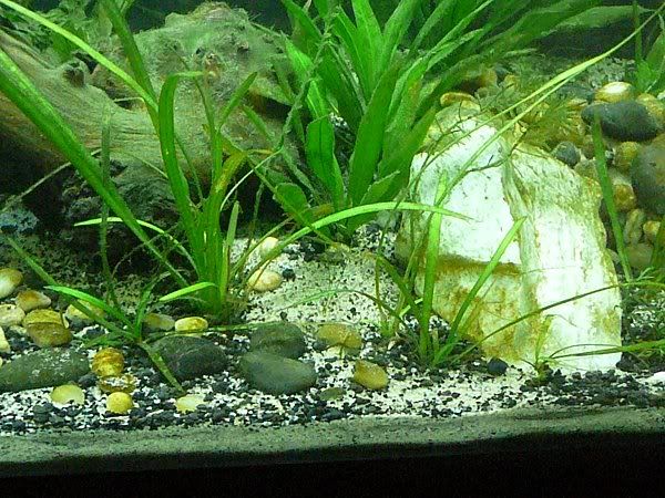 6-22-15.jpg