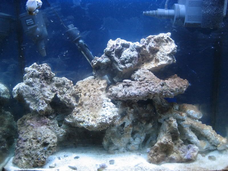 TankUpdate12-26-06002.jpg