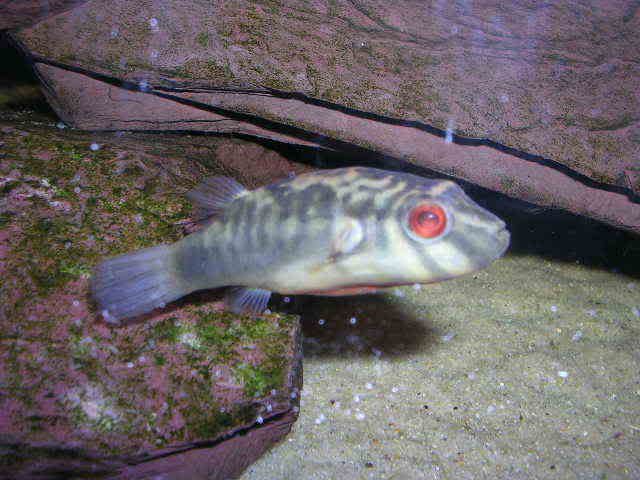 DSCN2627.jpg