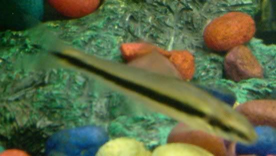 2005_0130_204755.jpg