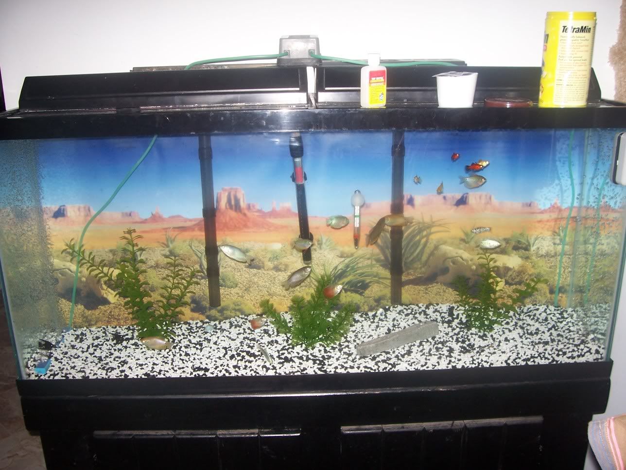 FishTank002.jpg