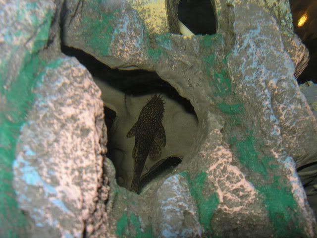 IMG046.jpg