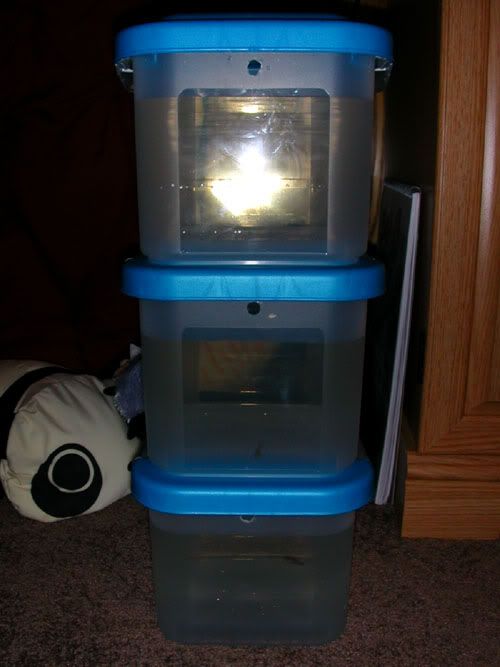 DSCN9536.jpg