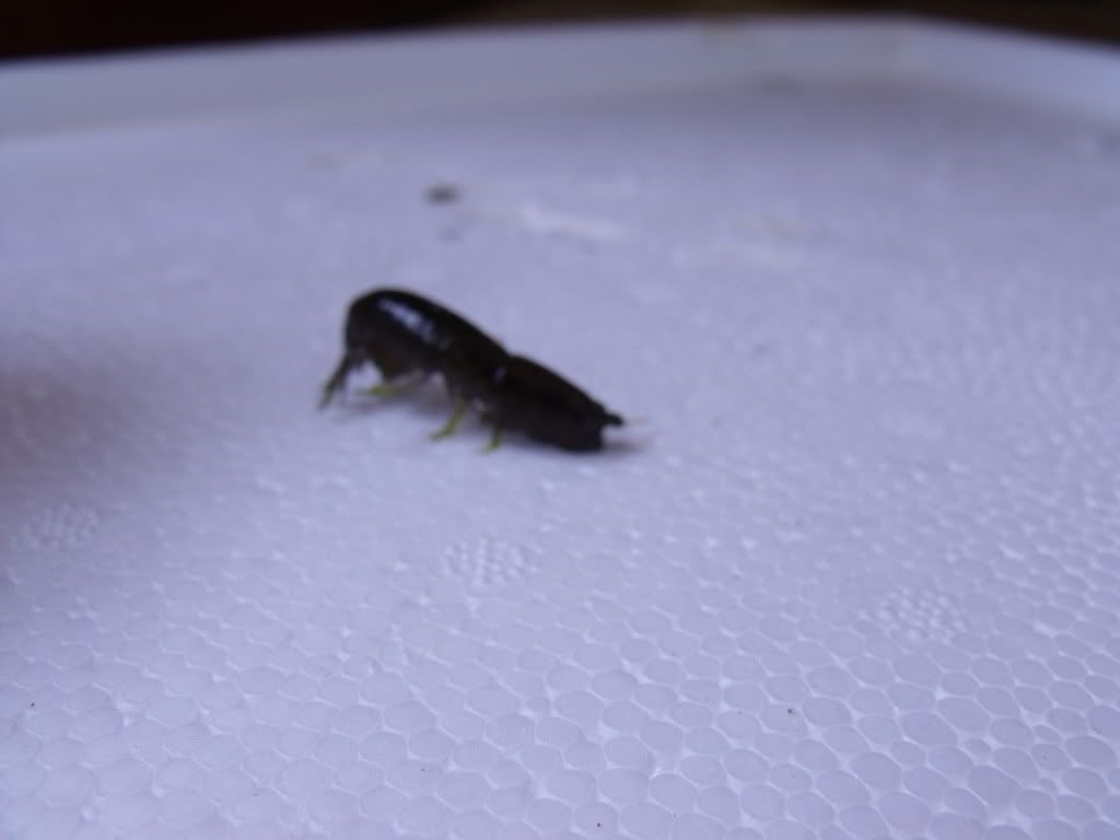 DSCF1662.jpg