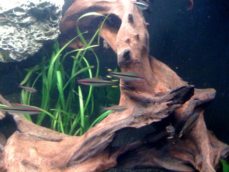 photo8.jpg
