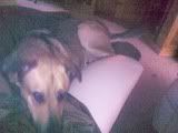 05082009358.jpg