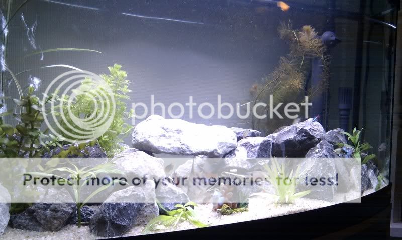 IMAG0531.jpg