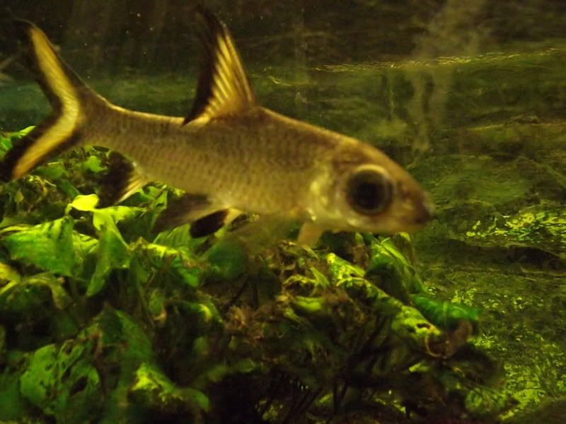 DSCF2353.jpg