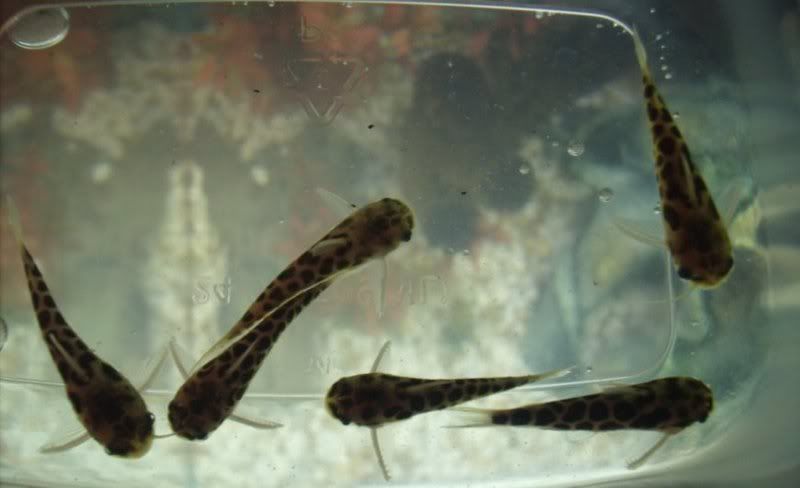 GEDC0399.jpg