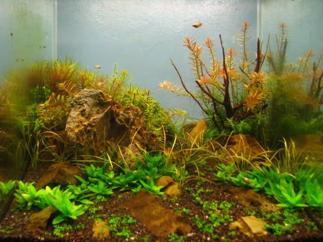 Picture066-2.jpg