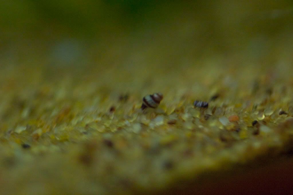 CRW_4089.jpg