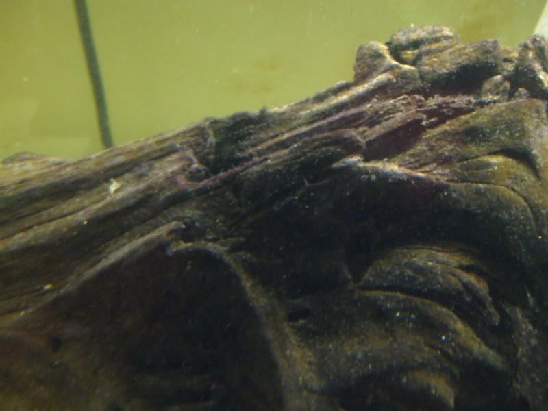 DSCF5608.jpg