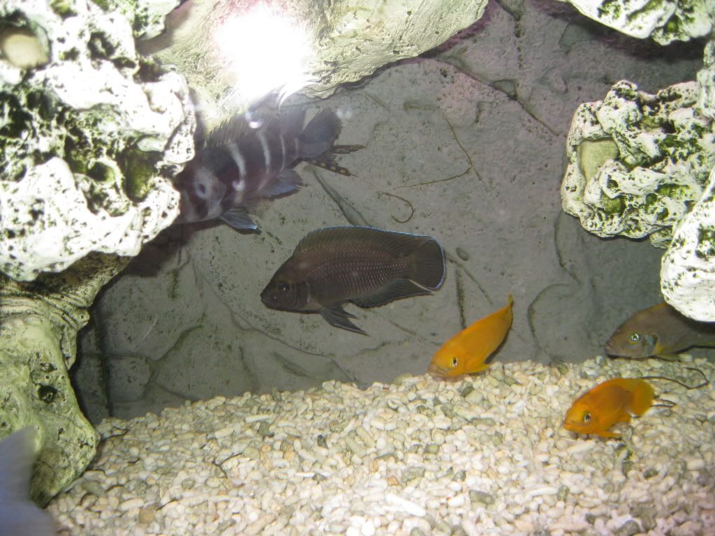 IMG_3203.jpg