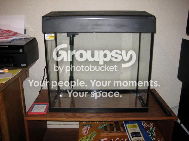 IMG_9807.jpg