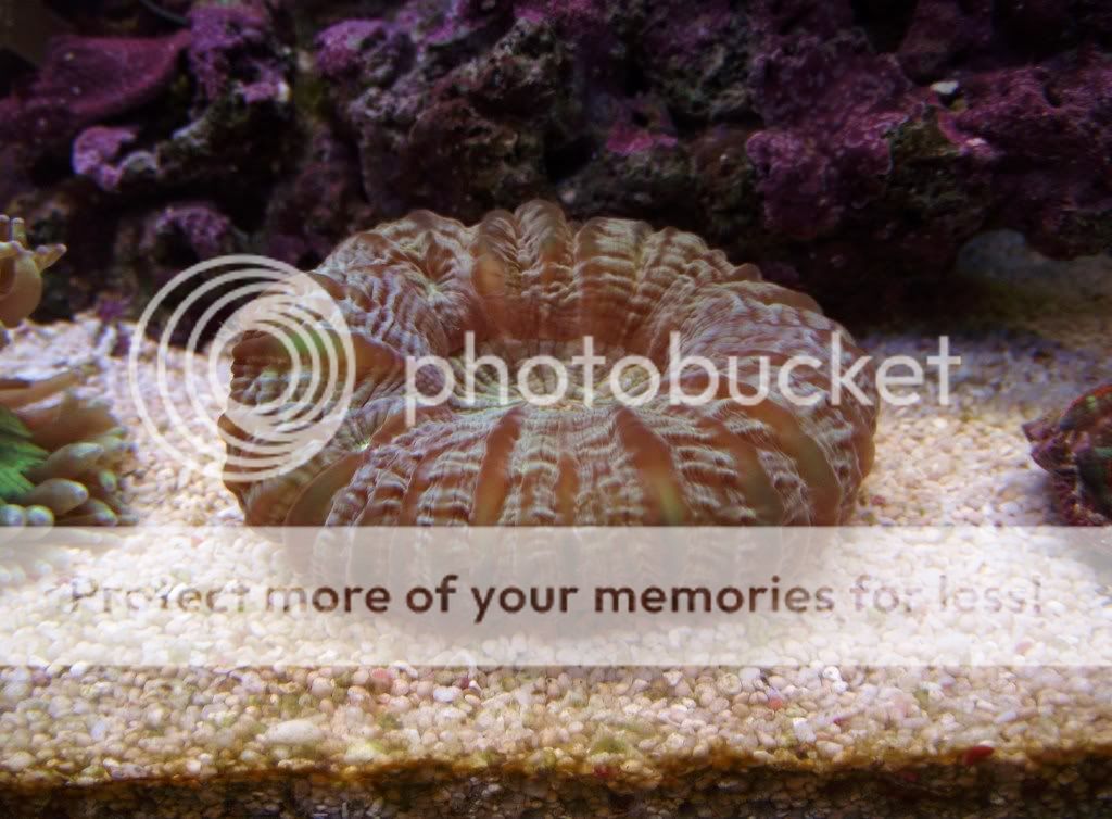 DSCF2077.jpg